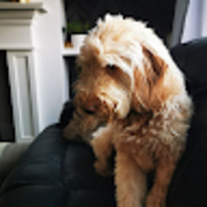 Meet your Posher, Jody